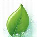 Green leaf and soap bubble icon